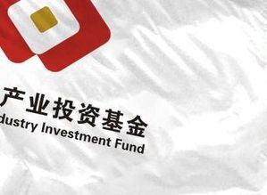 产业基金投资的监管现状与优质投资管理服务指南